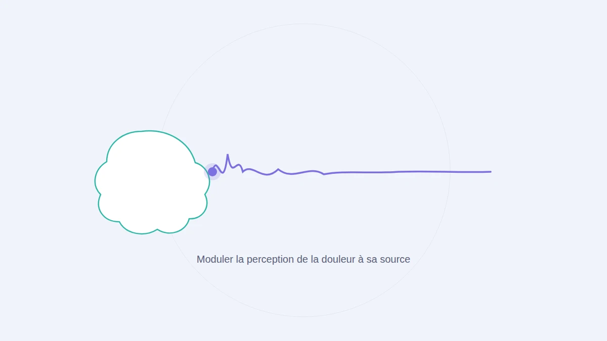 Modulation des signaux de douleur par le neurofeedback