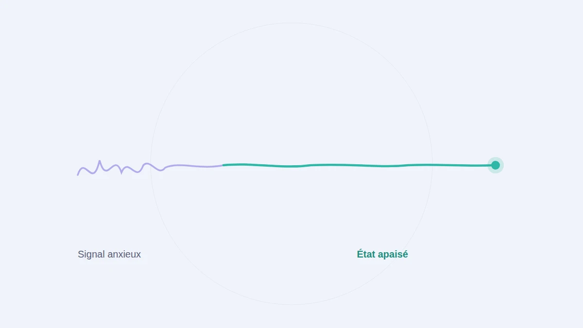 Une onde anxieuse qui s'apaise progressivement grâce au neurofeedback