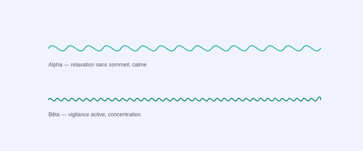 Comparaison des ondes alpha (relaxation) et bêta (concentration)