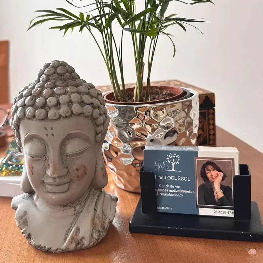 Neurofeedback 94 Céline Locussol à Le Plessis-Trévise