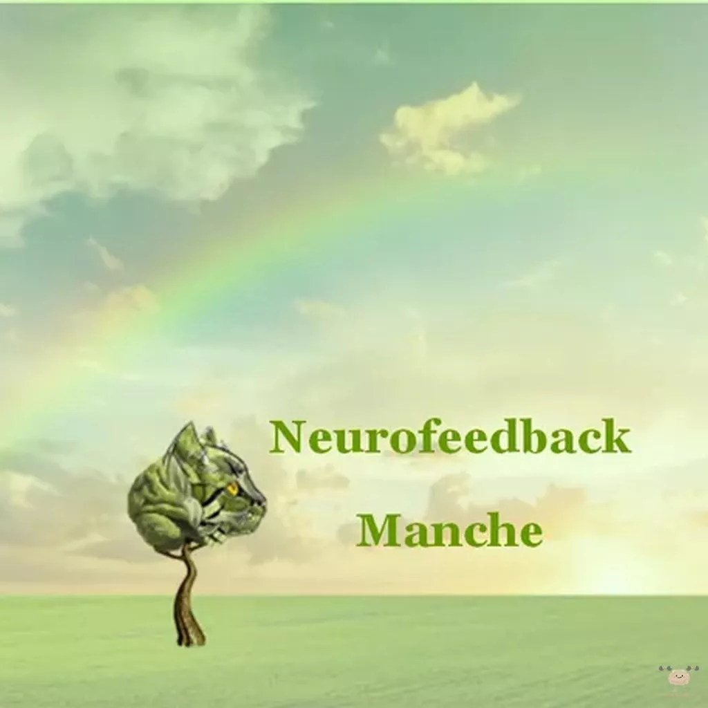 Neurofeedback Manche Corinne Gressier