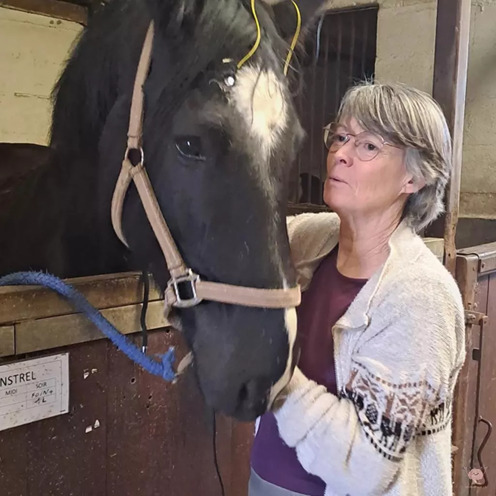 Neurofeedback sur les chevaux par So'Luce Bien-être à Corbreuse