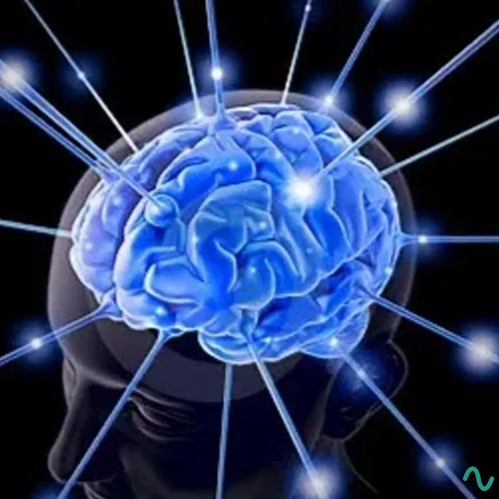 Neuroplasticité et Neurofeedback à Montpellier (34) - Koreilya Cloarec